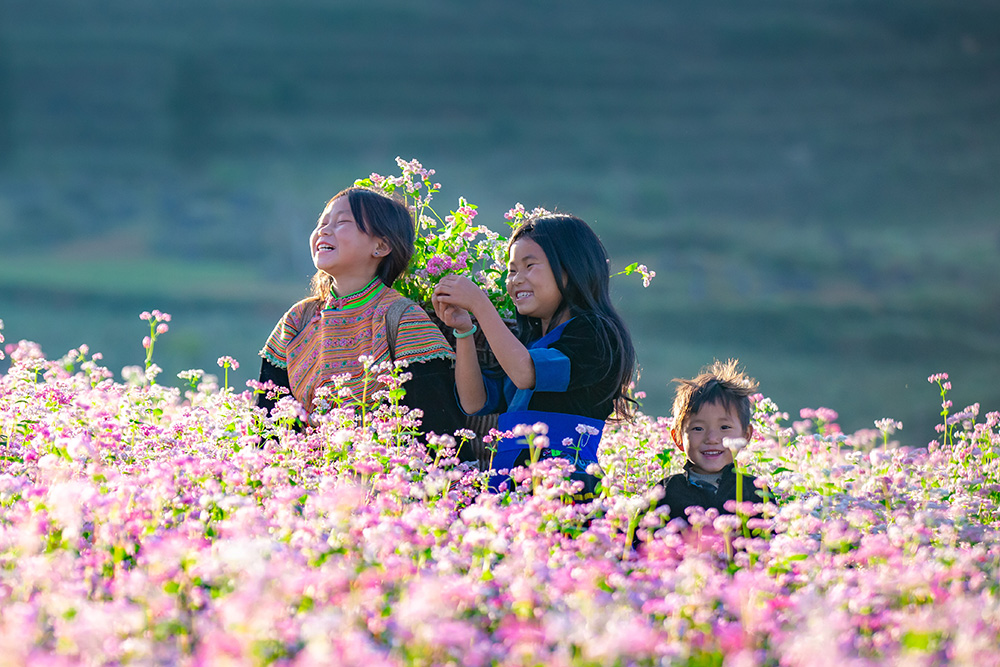 DONKEY HAGIANG LOOP'S PICS